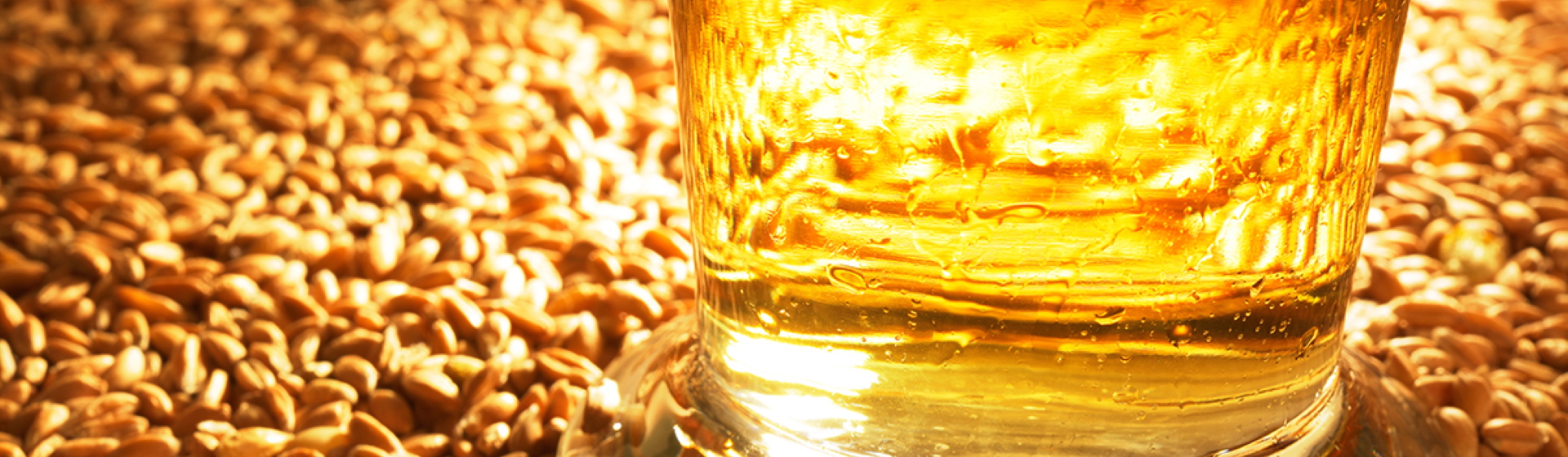 Bières de dégustation en vente directe producteur